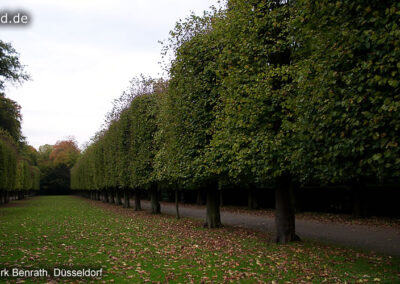 Schlosspark Benrath