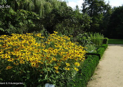 Schlosspark Moyland