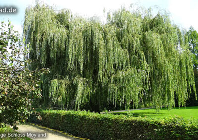 Schlosspark Moyland