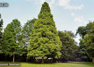 Schlosspark Neersen