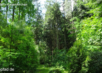 Sequoiafarm Kaldenkirchen