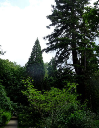 Sequoiafarm Kaldenkirchen