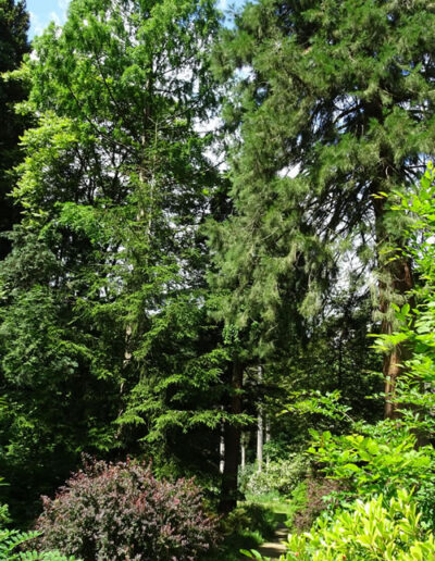 Sequoiafarm Kaldenkirchen