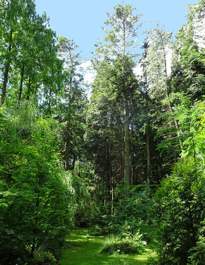 Sequoiafarm Kaldenkirchen