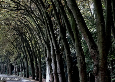 Volkspark Rheinhausen