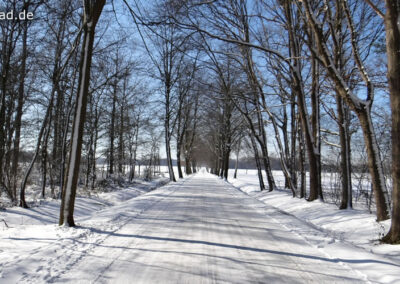 Wankumer Heide