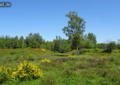 Wankumer Heide