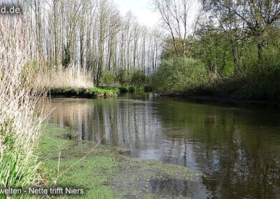 Wasserblicke Nette Trifft Niers