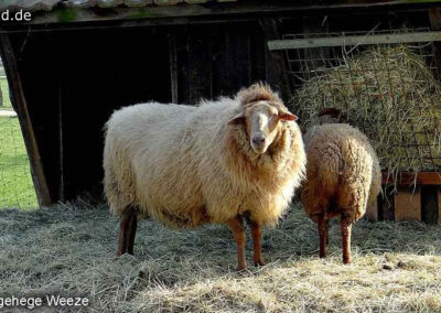 Tierpark Weeze