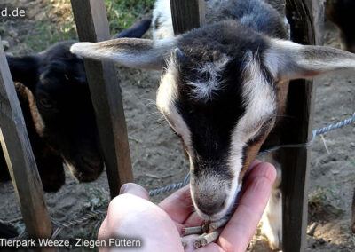 Tierpark Weeze