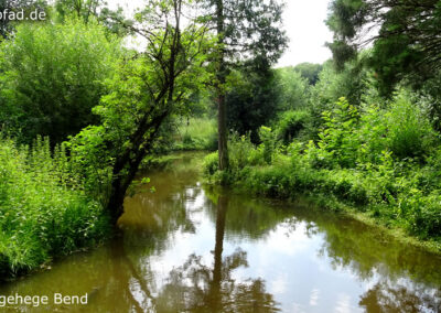 Wildfreigehege Bend