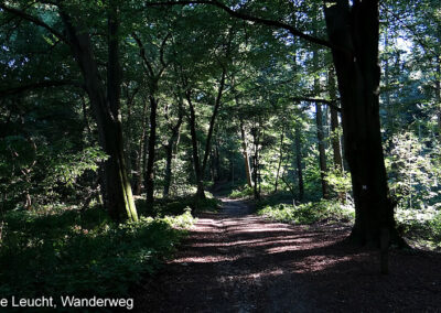 Niederrheinweg , Waldwanderweg