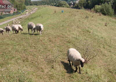 Rotbach-Route