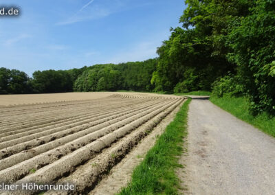 Süchtelner Höhenrunde