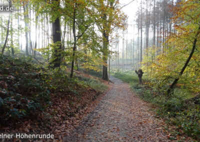 Süchtelner Höhenrunde