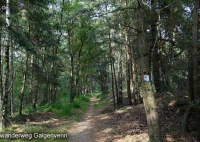 Wanderweg Galgenvenn