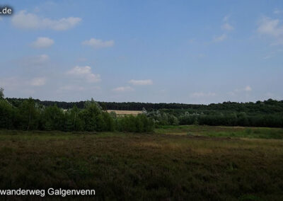 Wanderweg Galgenvenn