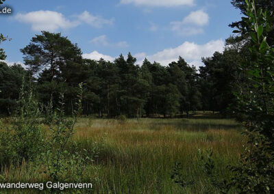 Wanderweg Galgenvenn