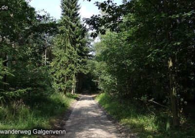 Wanderweg Galgenvenn