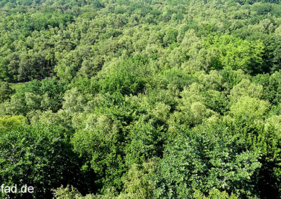 Blick vom Aussichtsturm