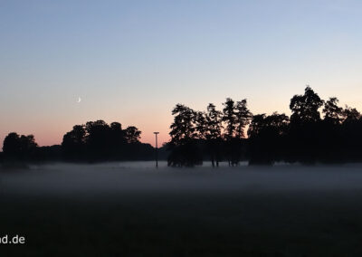 Nebel am Niederrhein