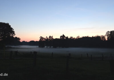 Nebel am Niederrhein