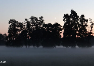 Nebel am Niederrhein