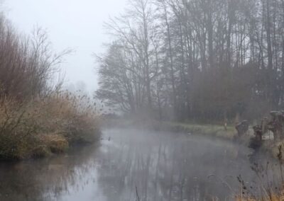 Nebel am Niederrhein