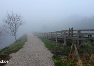 Nebel am Niederrhein