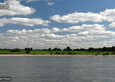 Entspannung beim Blick auf den Rhein