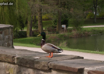 Schönwasserpark Krefeld