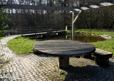 Birgeler Urwald