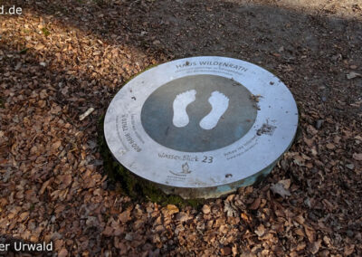 Birgeler Urwald