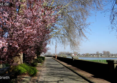 Grieth am Rhein Promenade