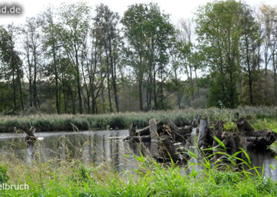 Naturschutzgebiet Tantelbruch