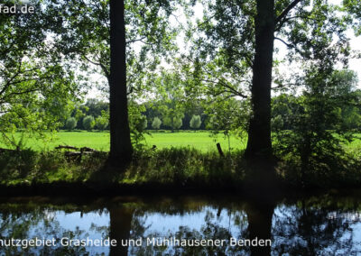 Naturschutzgebiet Grasheide und Mühlhausener Benden