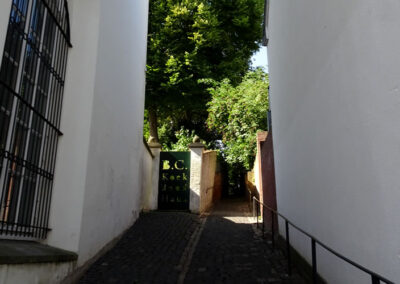 Kleve